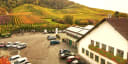 Fellbacher Weingärtner eG