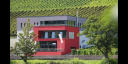Domaine Viticole Schumacher - Lethal