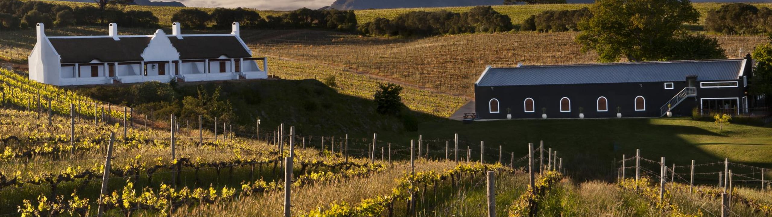 Aaldering Vineyards & Wines