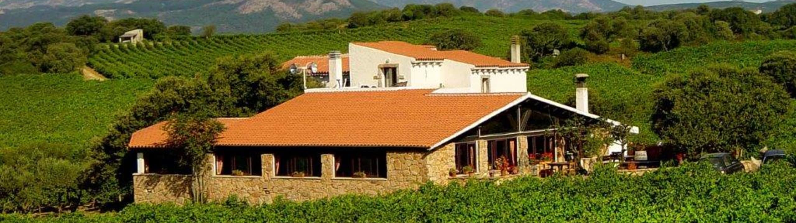 Cantina Tani