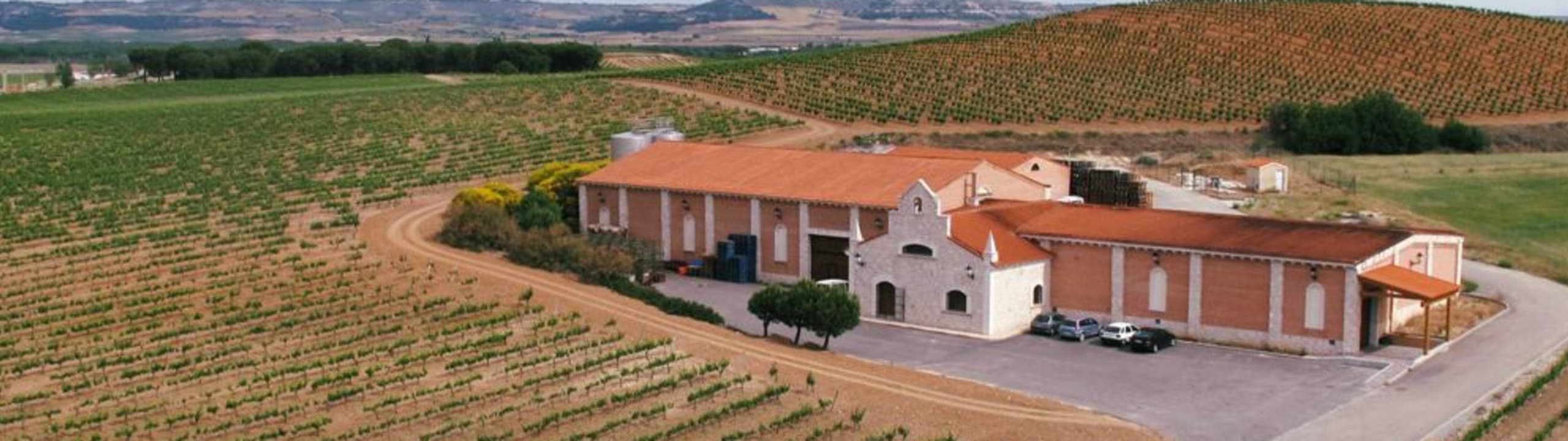 Bodegas Pingón