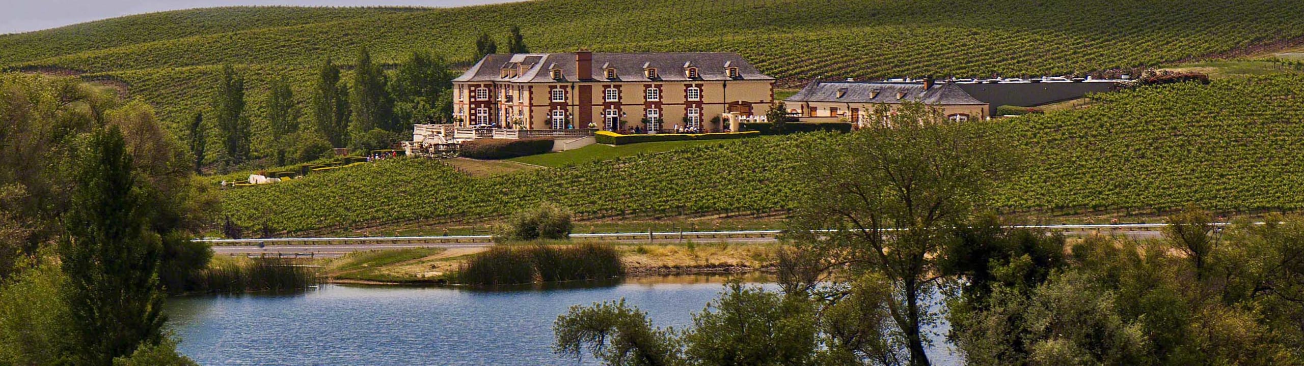 Domaine Carneros