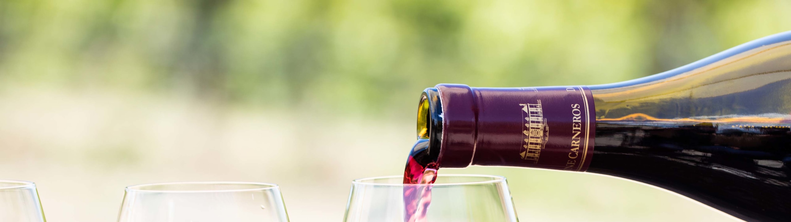 Domaine Carneros Avant-Garde Pinot Noir 2020