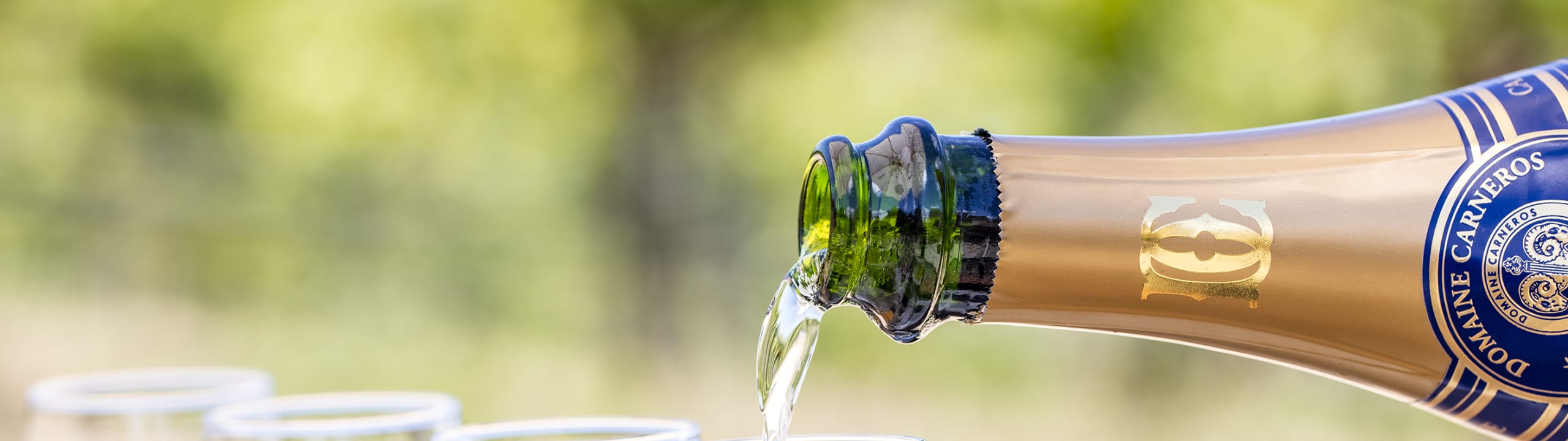 Domaine Carneros Sparkling Brut 2019