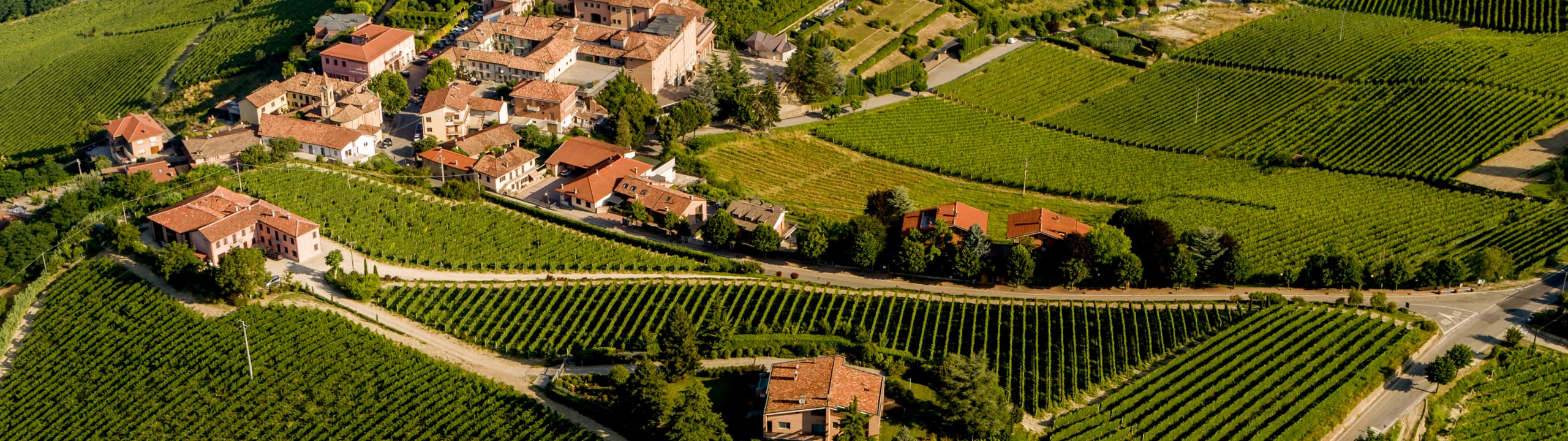 Gaja