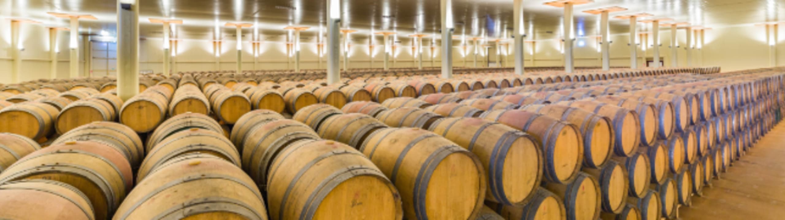 Bodegas Lozano
