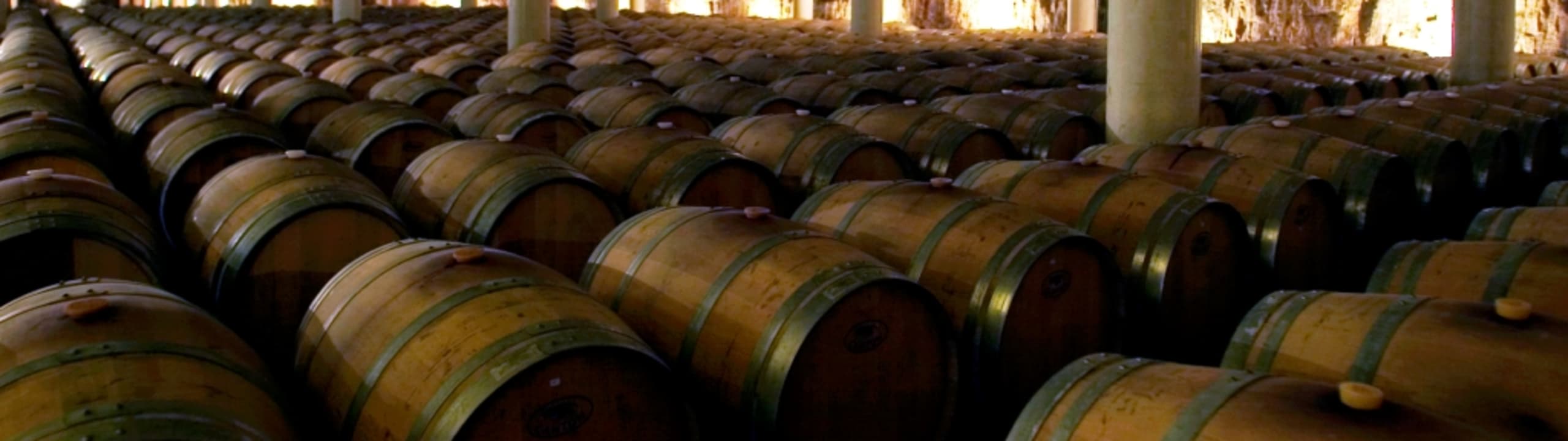 Bodegas Castillo de Mendoza