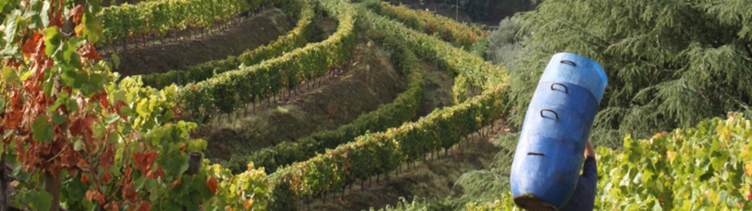 Quinta dos Avidagos