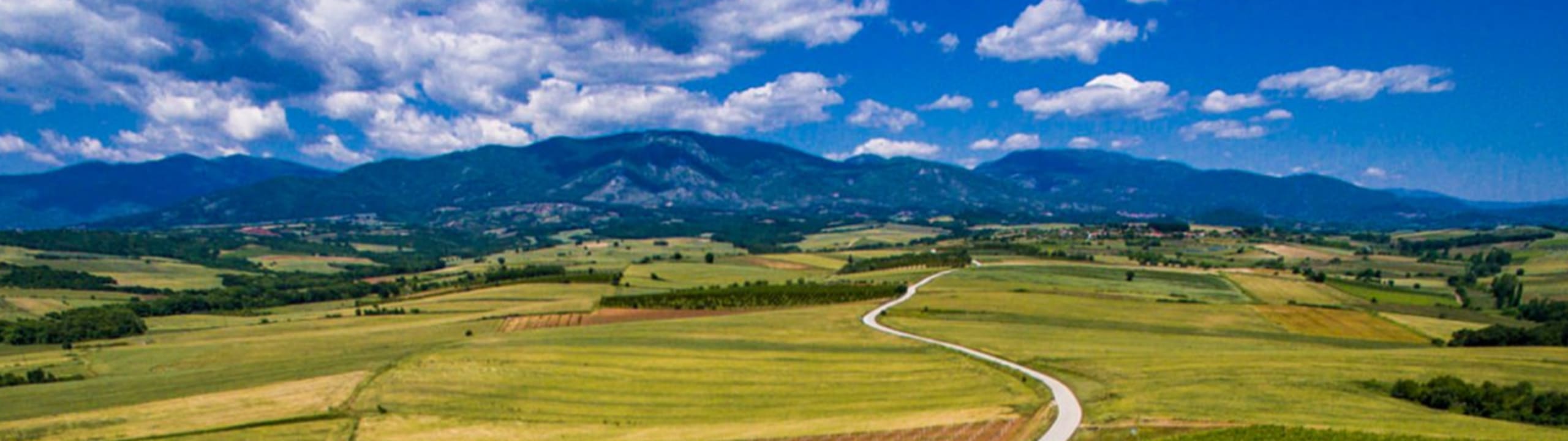 Chatzivaritis