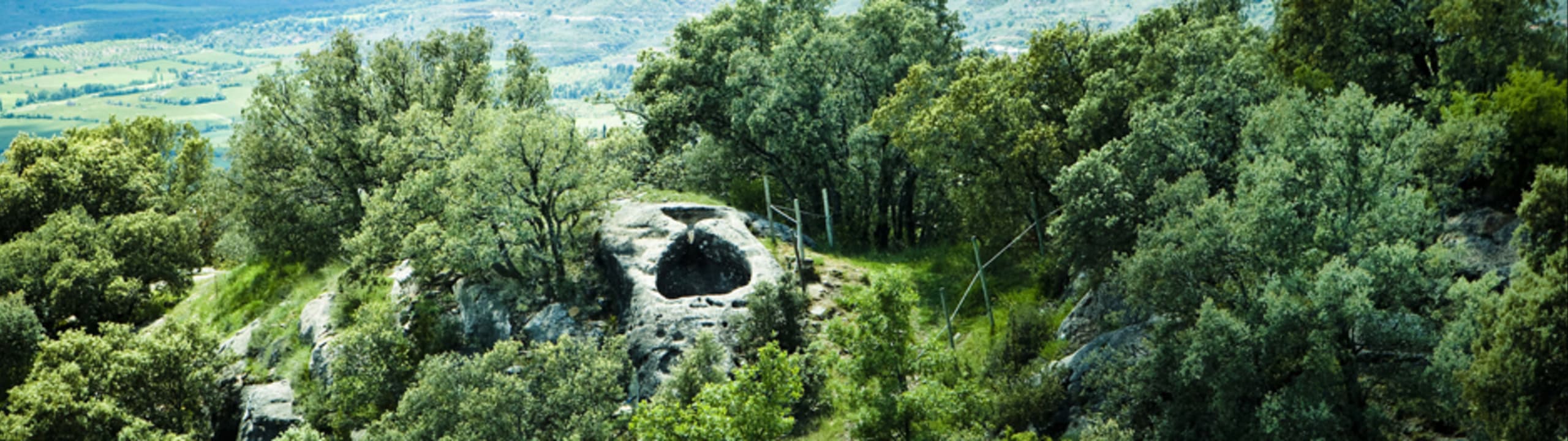 Castell D'Encus