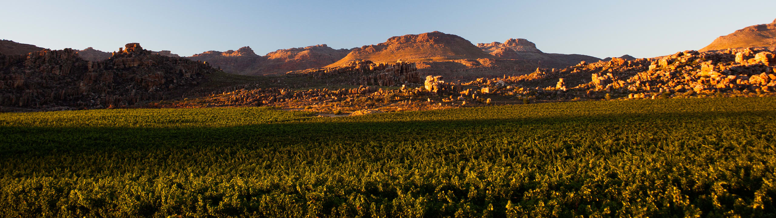 Cederberg Private Cellar