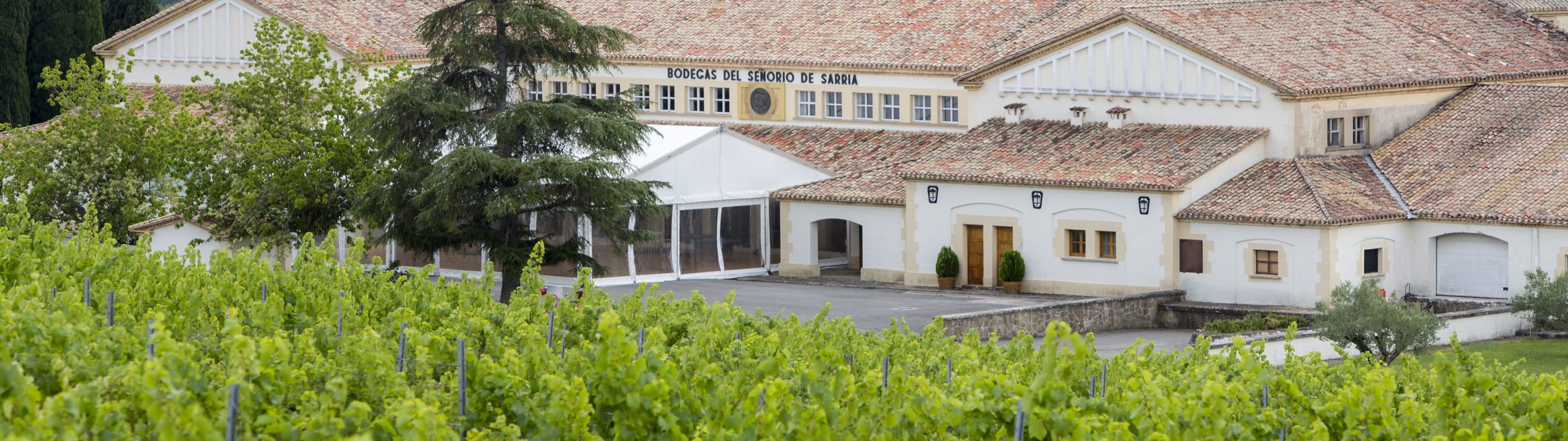 Bodega de Sarría