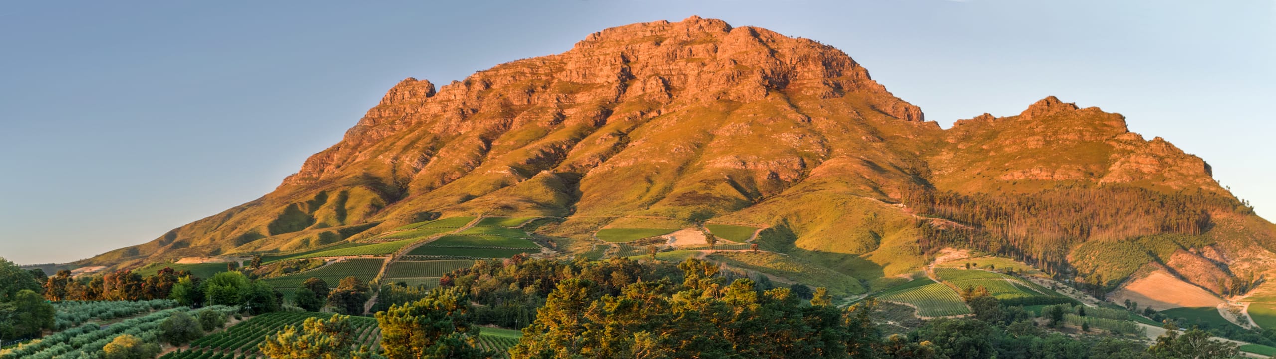 Thelema Mountain Vineyards