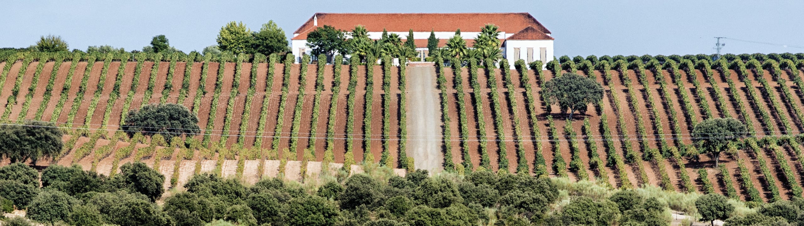 Bodegas Palacio Quemado