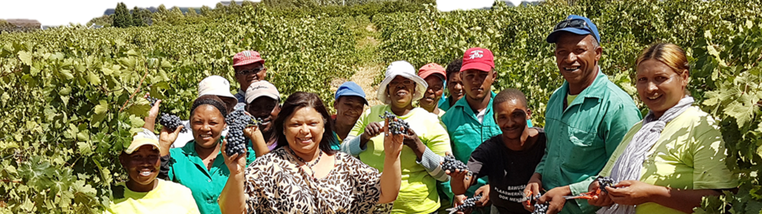 Diemersfontein/Thokozani Wines