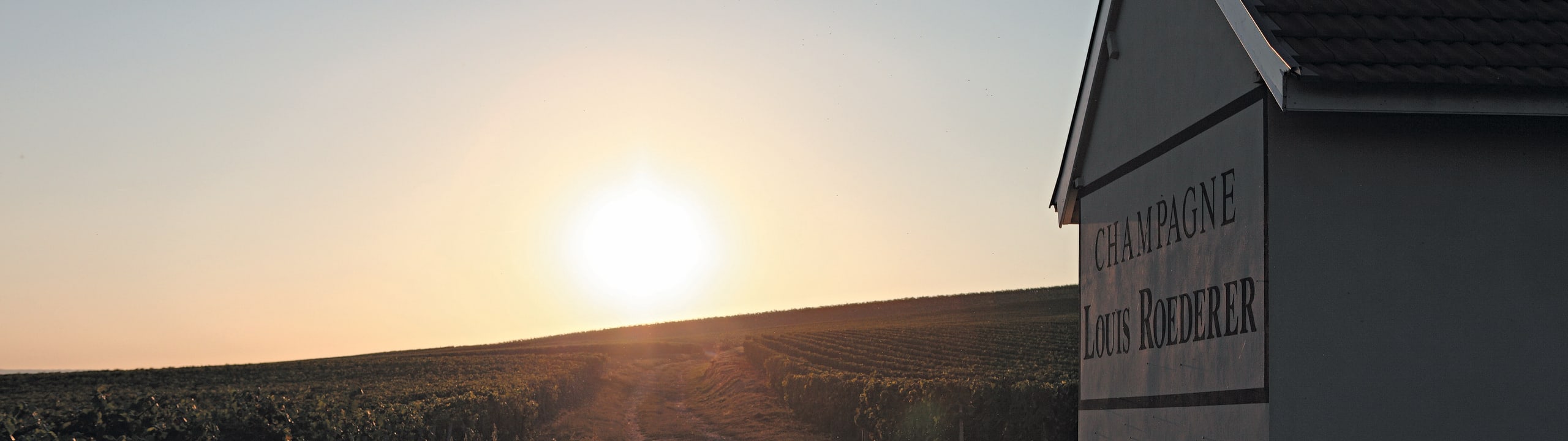 Champagne Louis Roederer