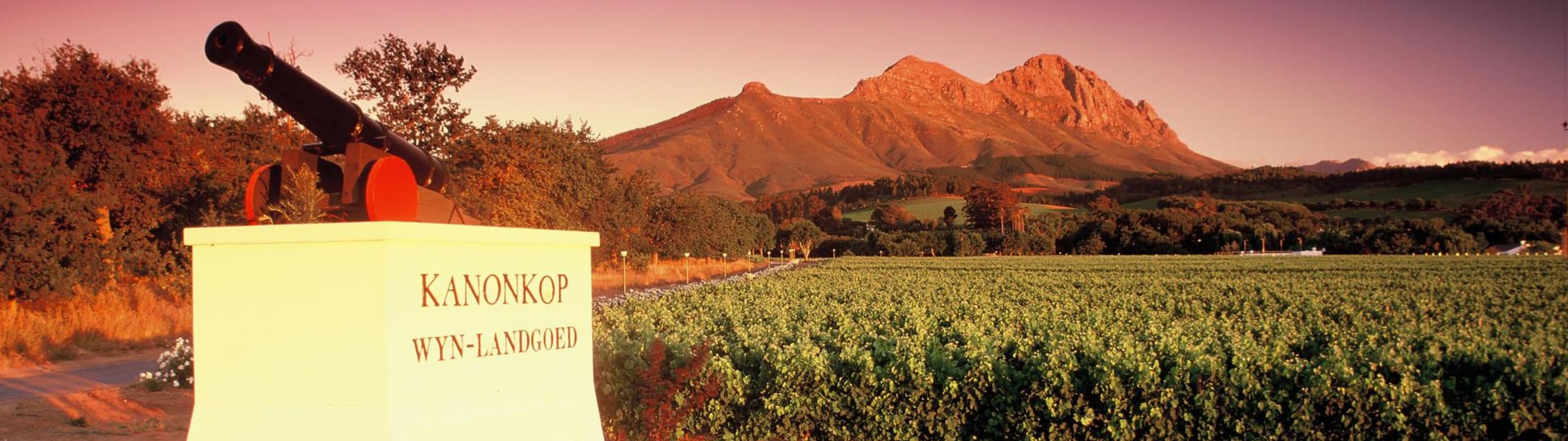 Kanonkop Wine Estate