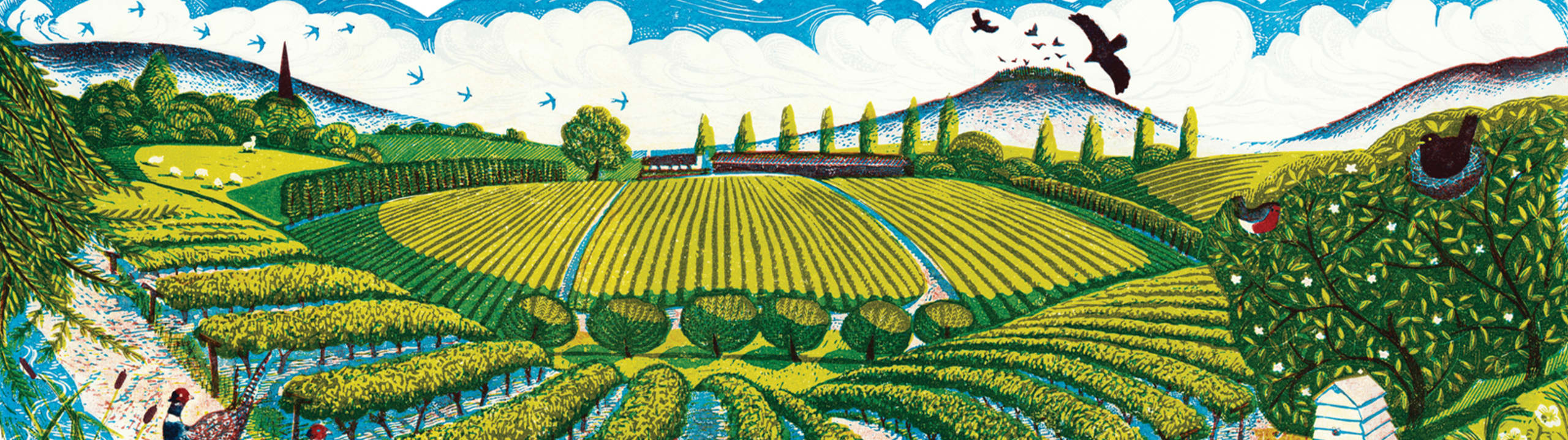 Three Choirs Vineyards Ltd