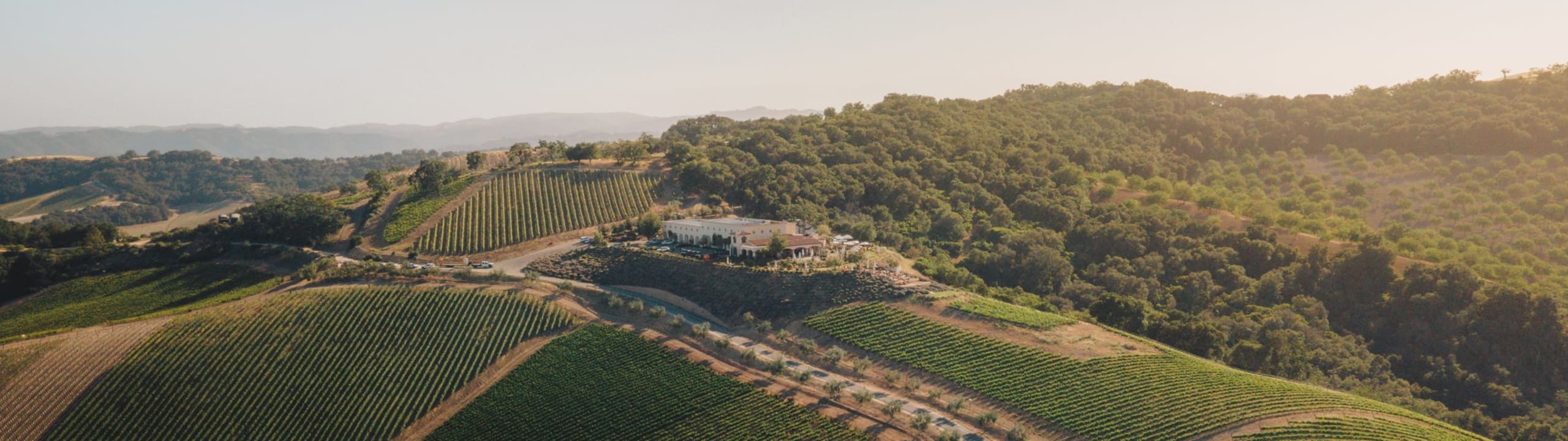 DAOU Family Estates