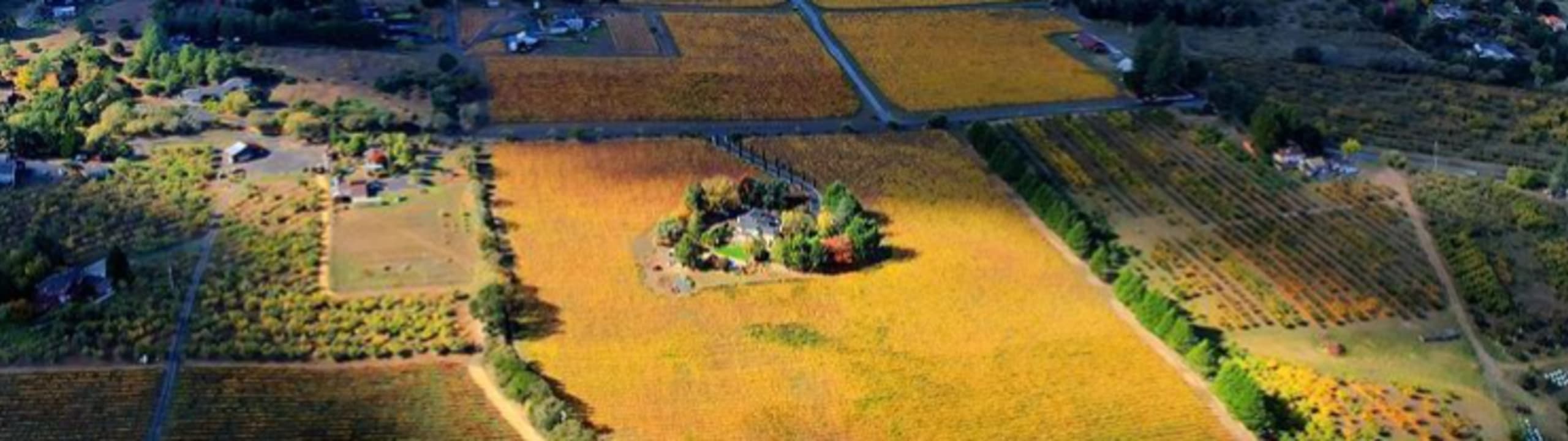 Kanzler Family Vineyards