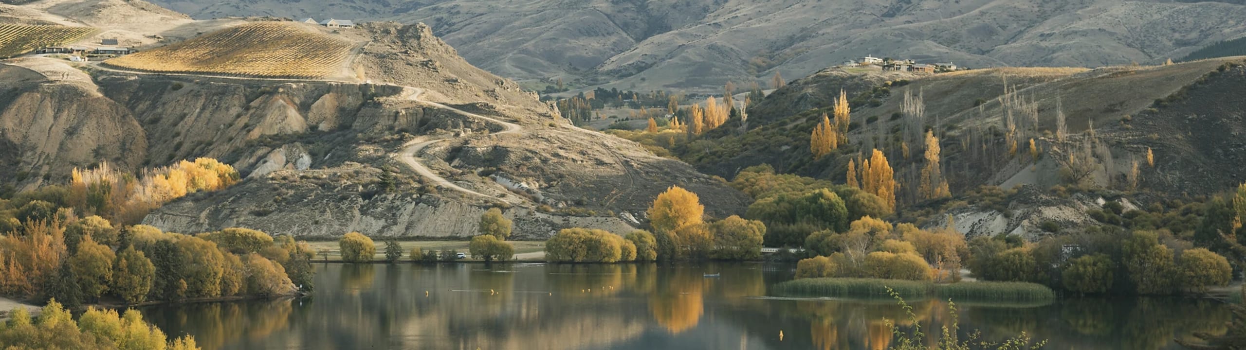 Organic Winegrowers NZ