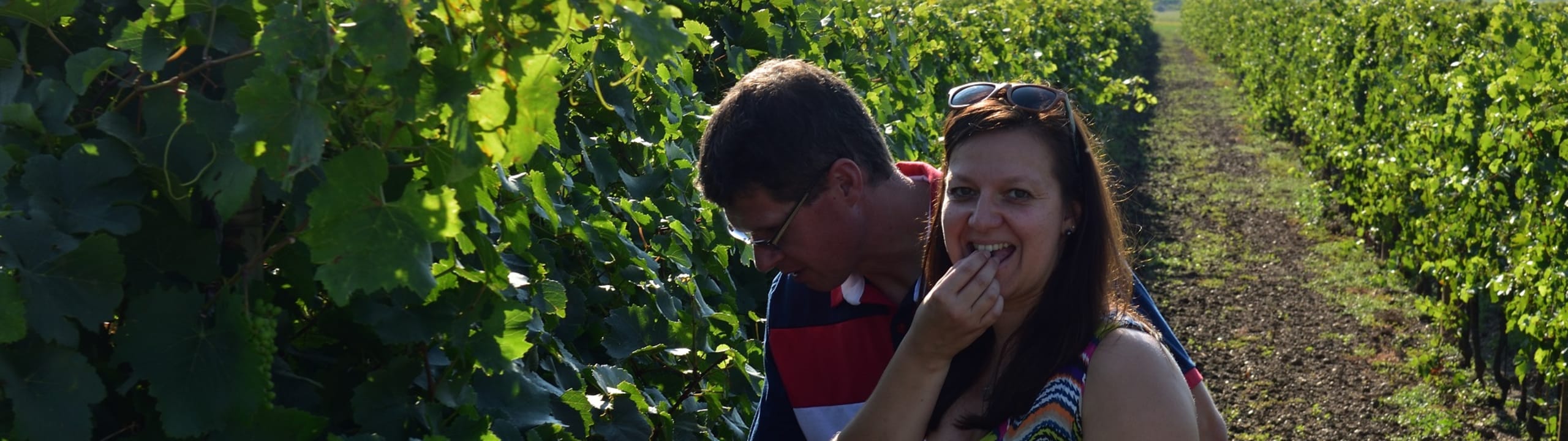 Weingut PreinerWein