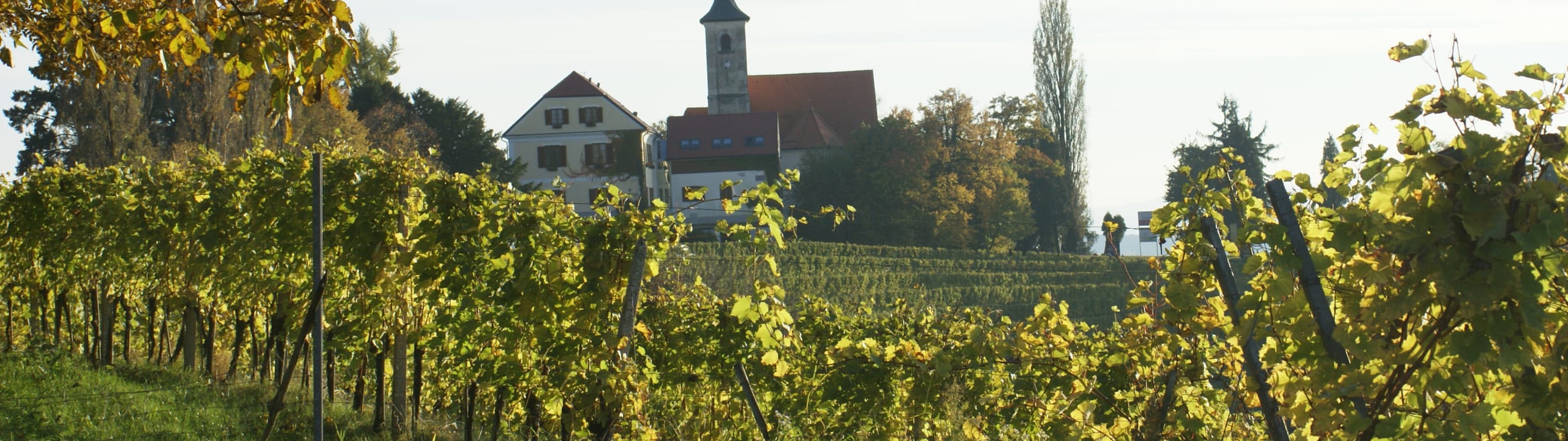 Weingut Krainz