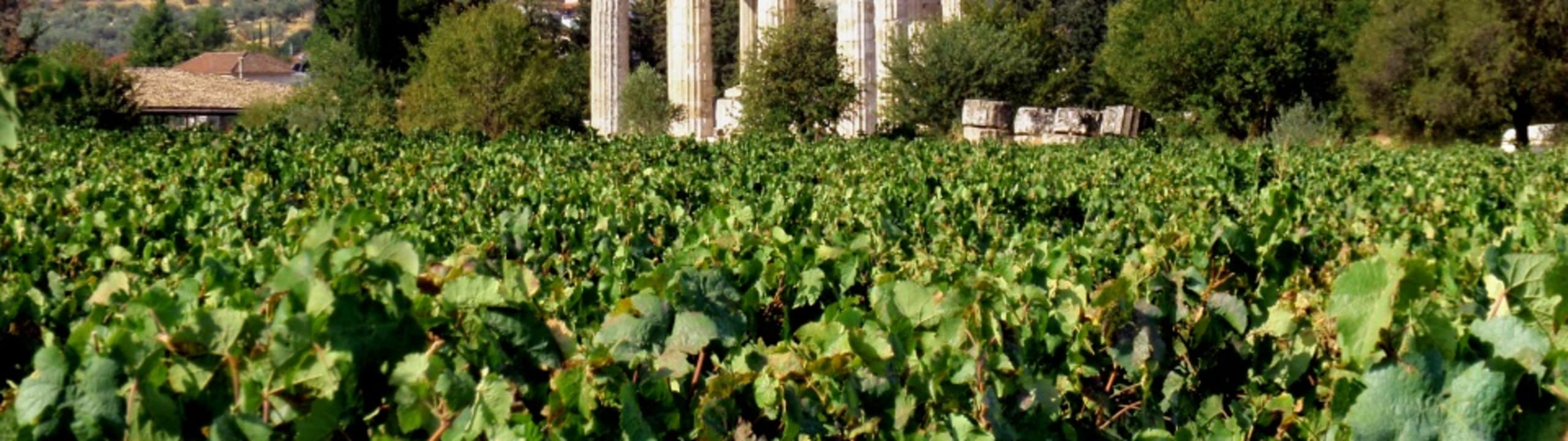 Estate Papaioannou