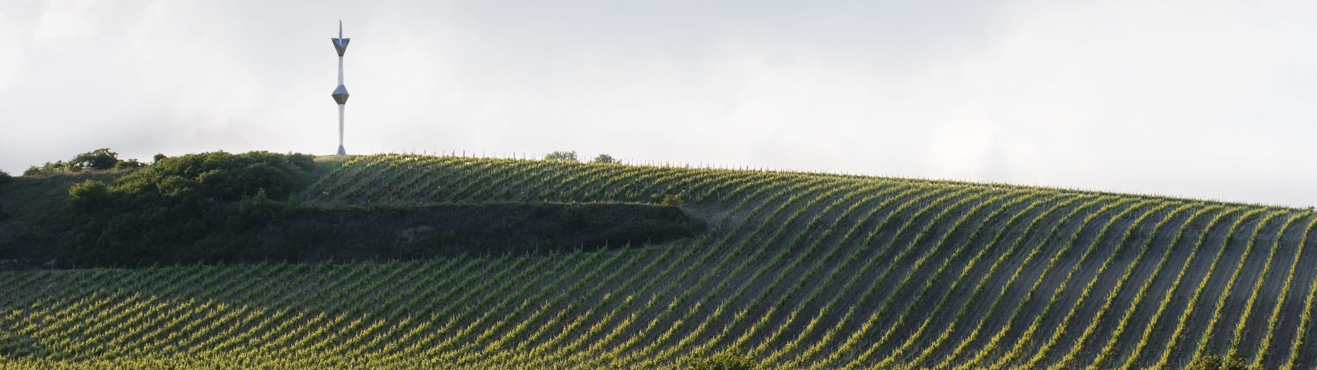 Weingut Höpler