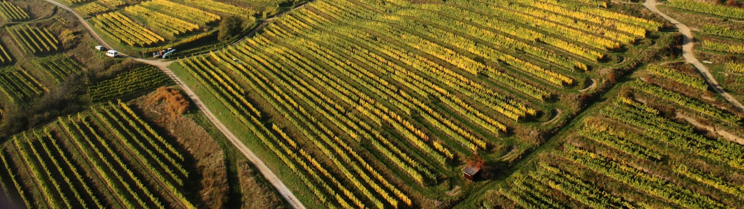 Weingut Bründlmayer