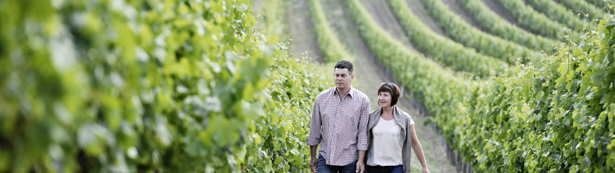 Weingut Leitner