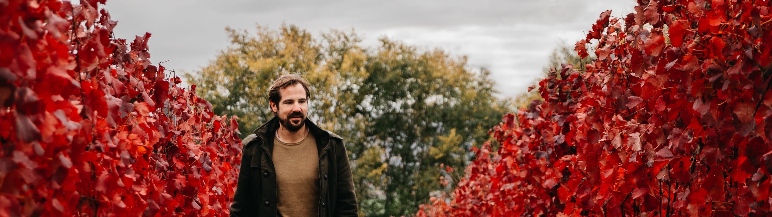 Weingut Johannes Trapl