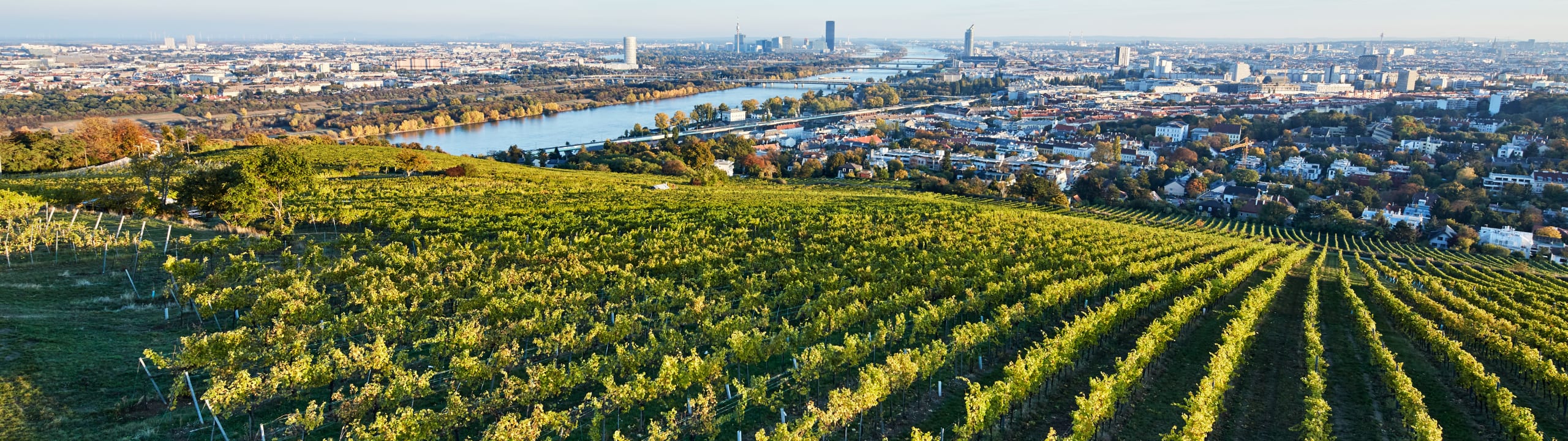 Weingut Mayer am Pfarrplatz & Rotes Haus