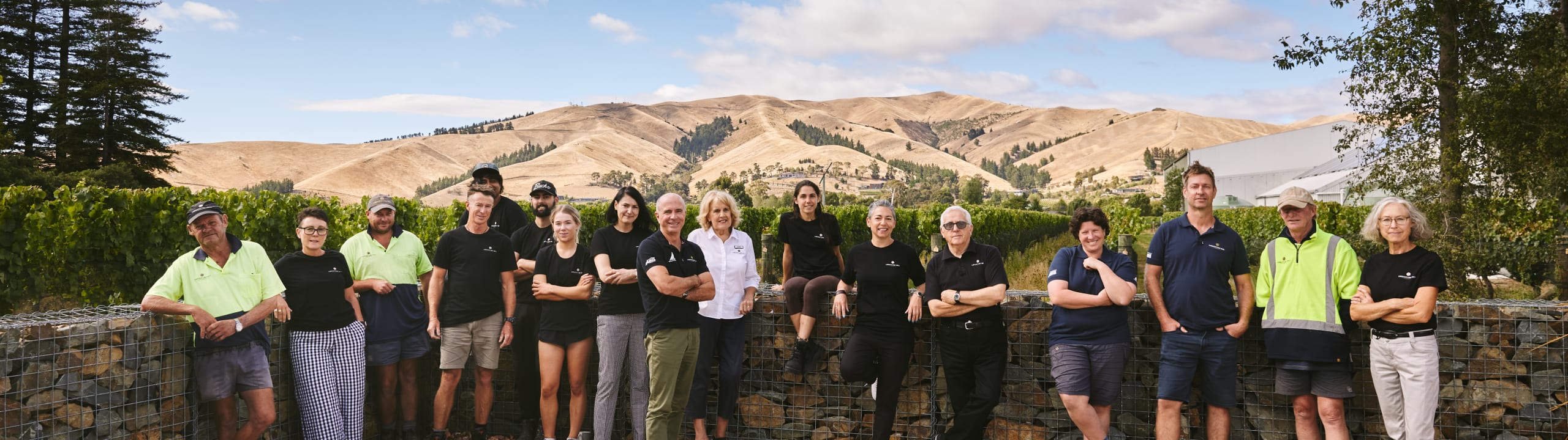 Lawson's Dry Hills Wines