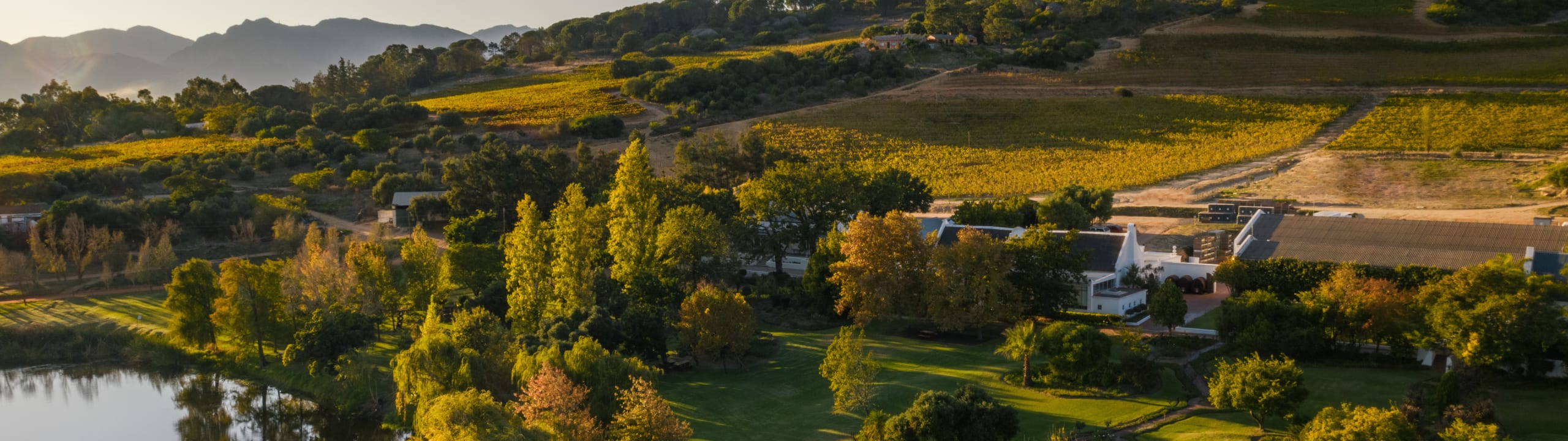 Rhebokskloof Wine Estate