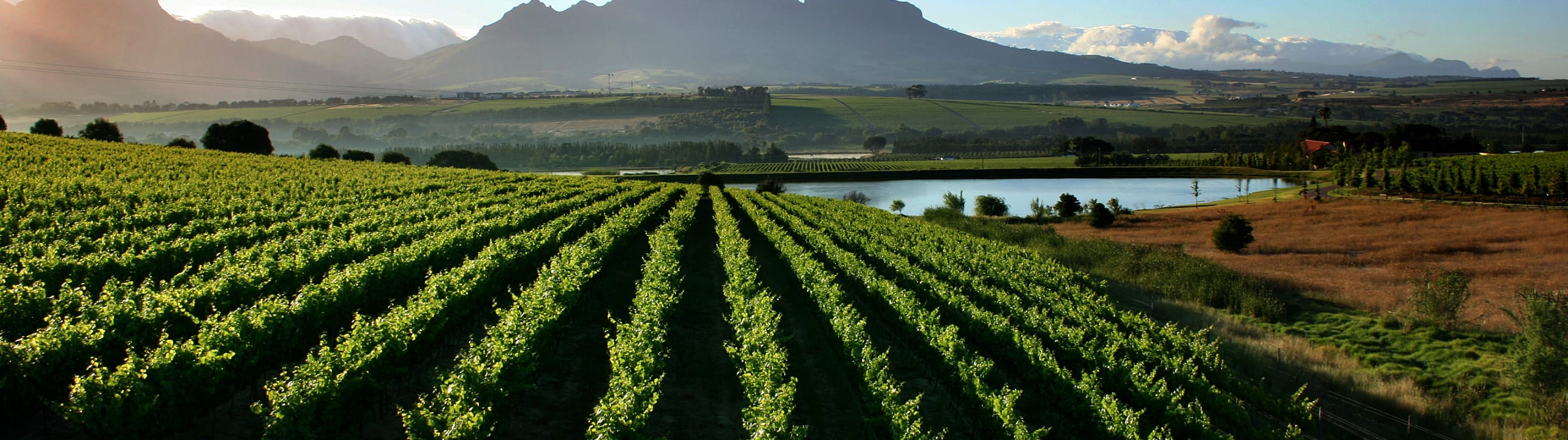 Asara Wine Estate & Hotel