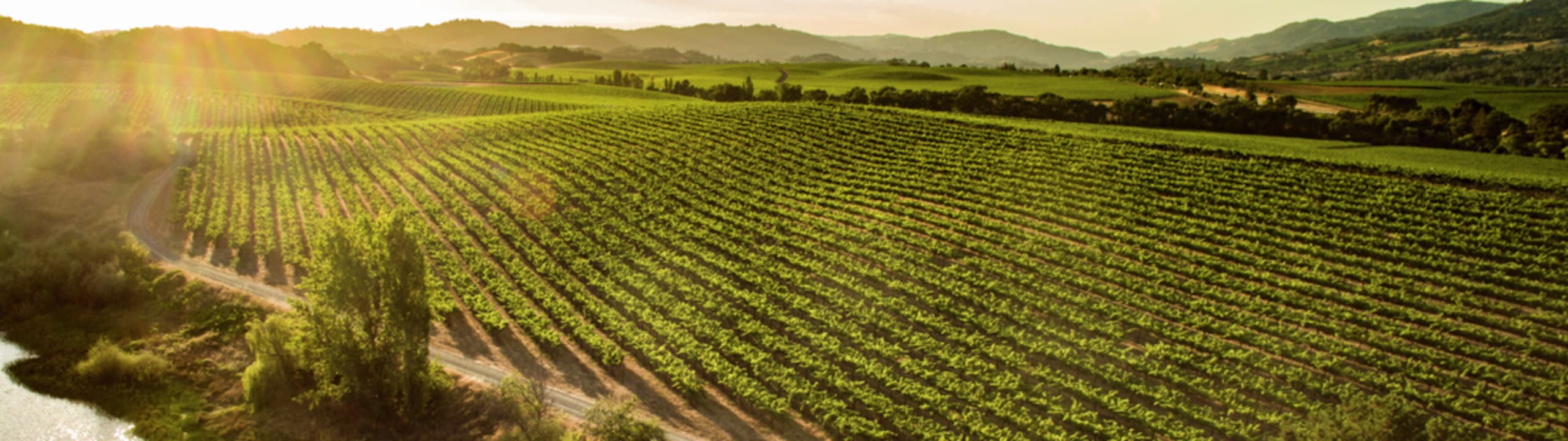 E & J Gallo Winery Canada