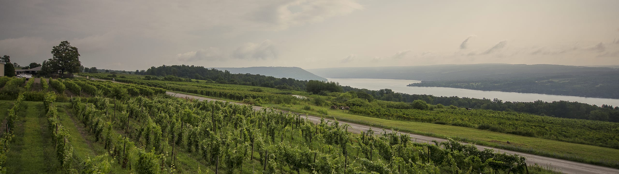 Dr. Konstantin Frank Winery