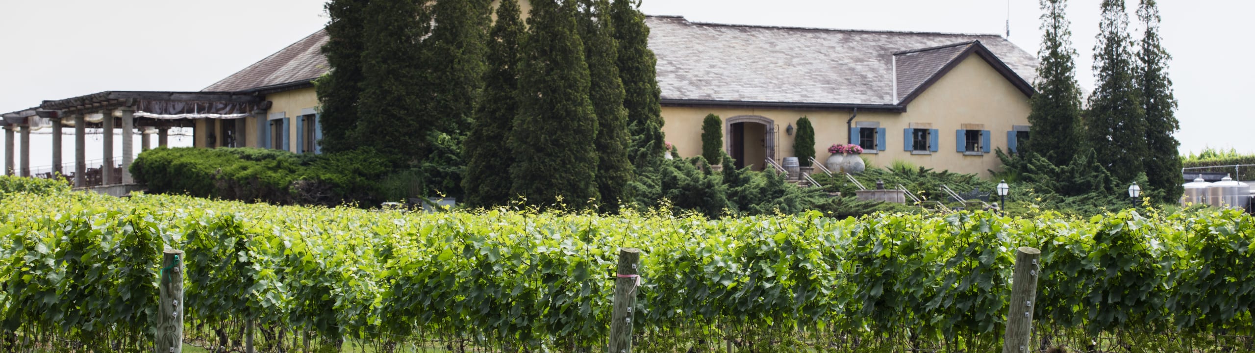 Wölffer Estate Vineyard