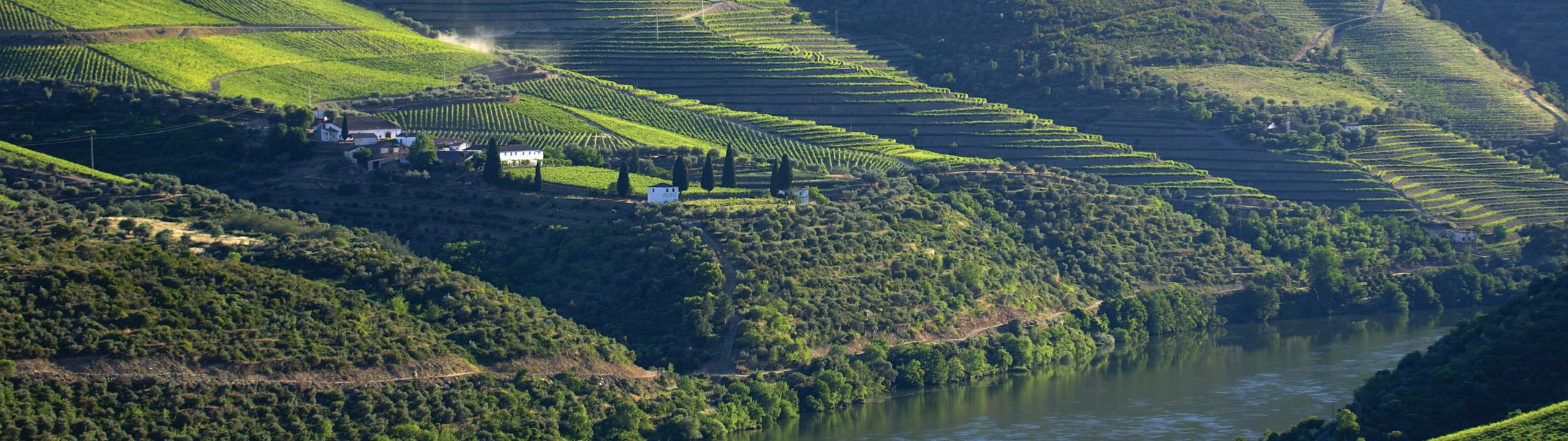 Symington Family Estates, Vinhos, S.A.