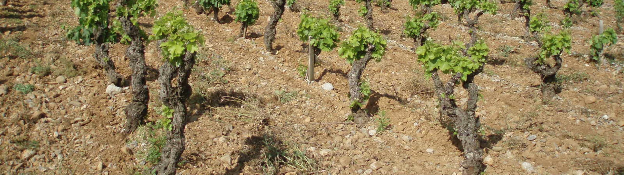 Clos de l'Anhel