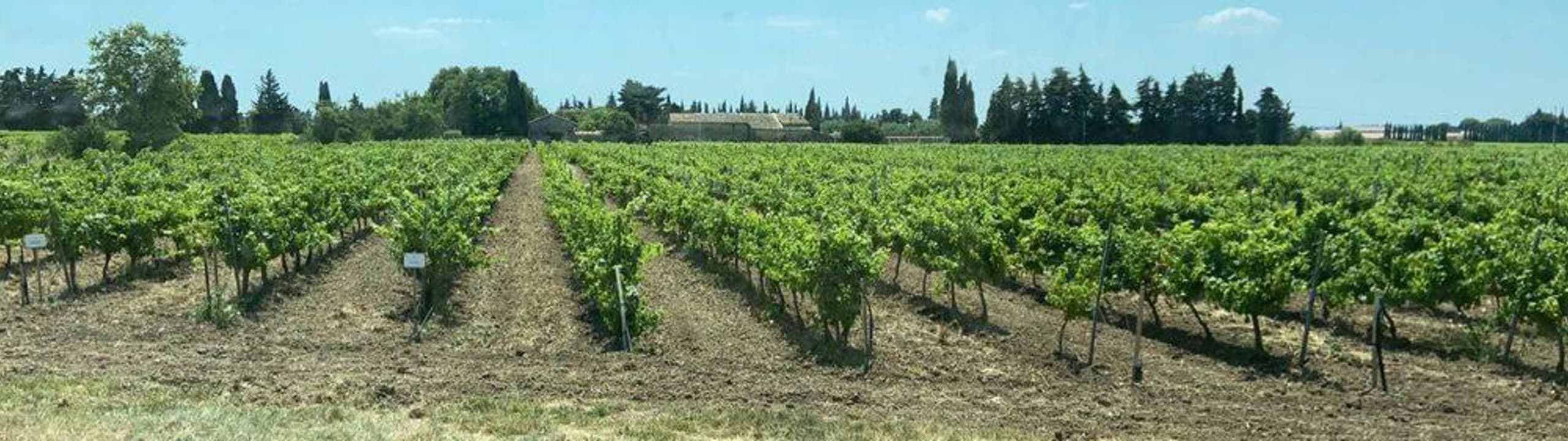 Domaine de Mont-Aigu