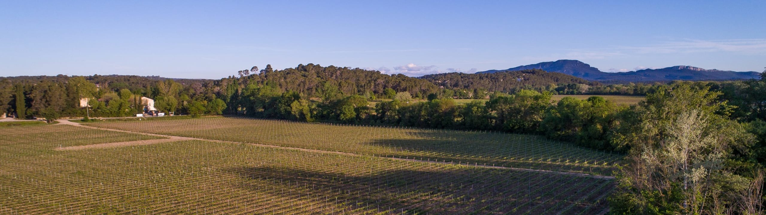 Domaine de Saint Clément