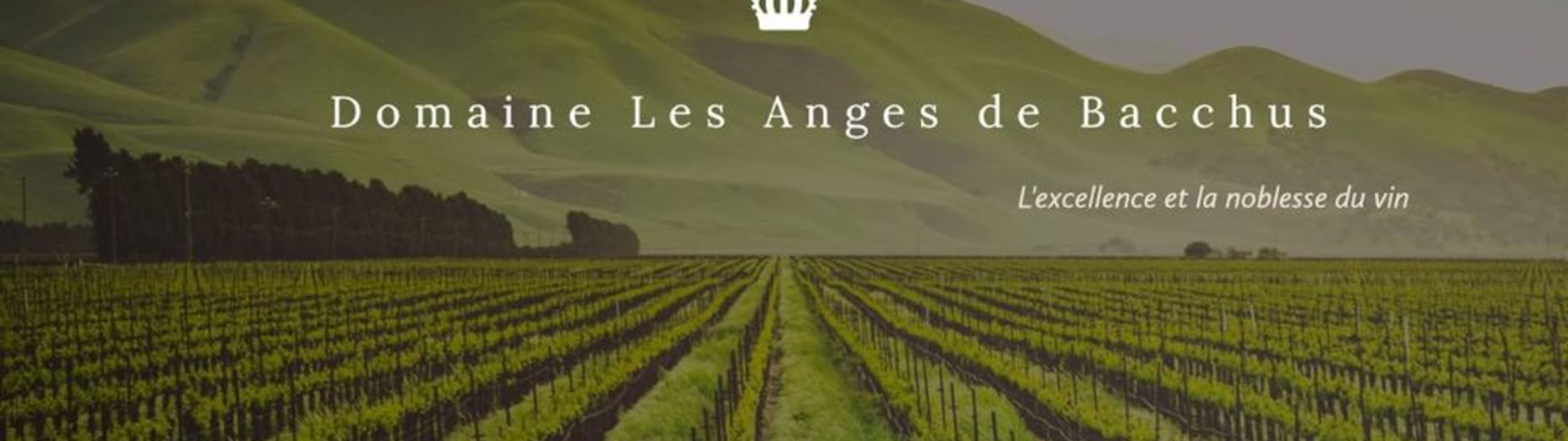 Domaine les Anges de Bacchus