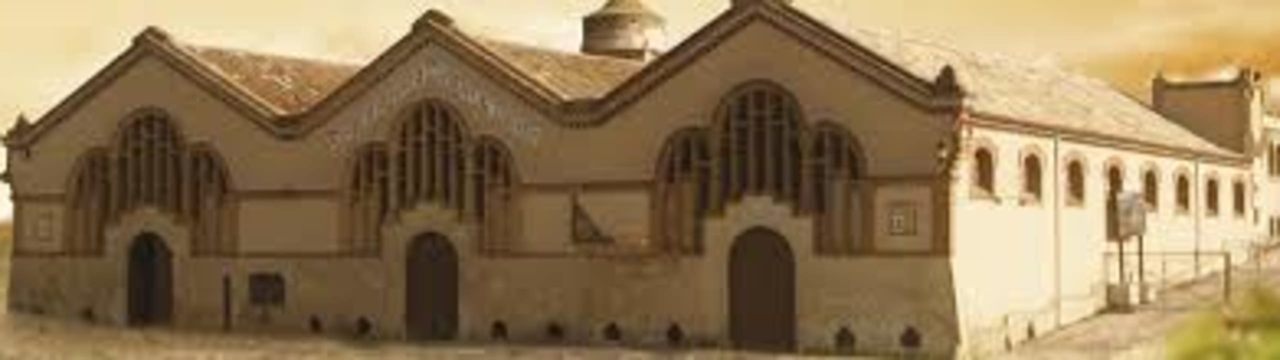 Domenio Wines by Cellers Domenys