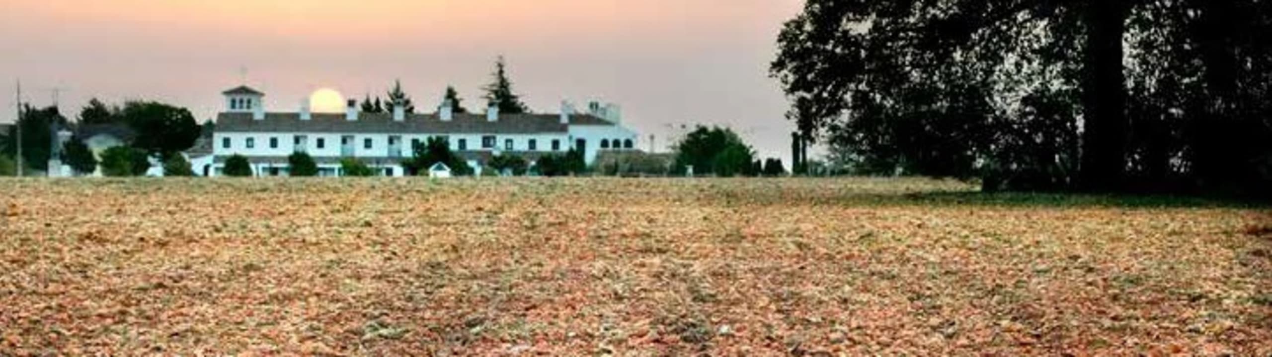 Bodegas Familia Conesa-D.O. Pago Guijoso - España