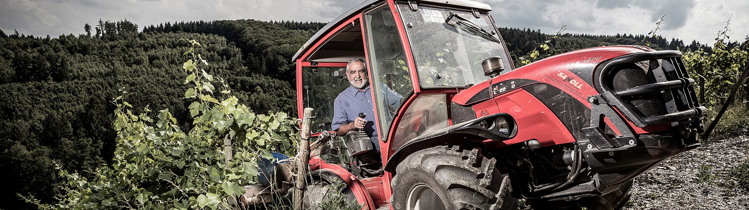 Demeter Weingut Fuchs-Jacobus