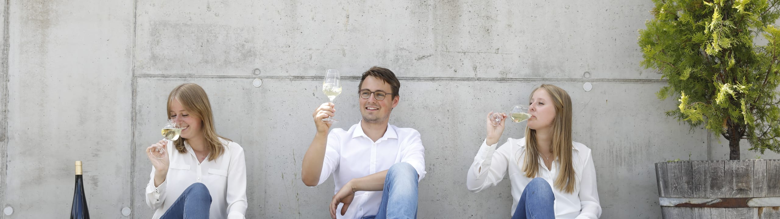 Wein- und Sekthaus Volker und Bernd Schreieck