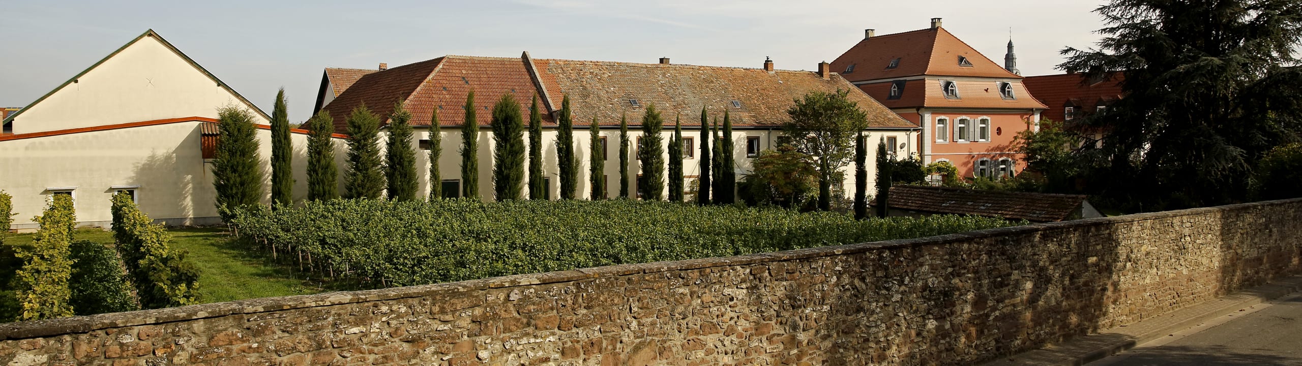 Weingut Jesuitenhof