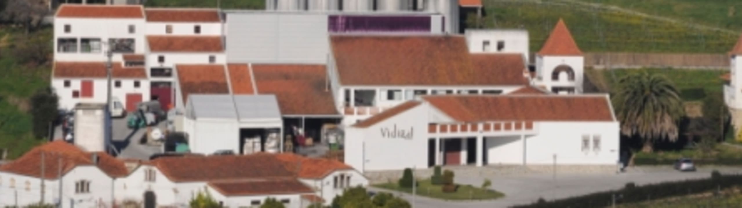 Vidigal Wines